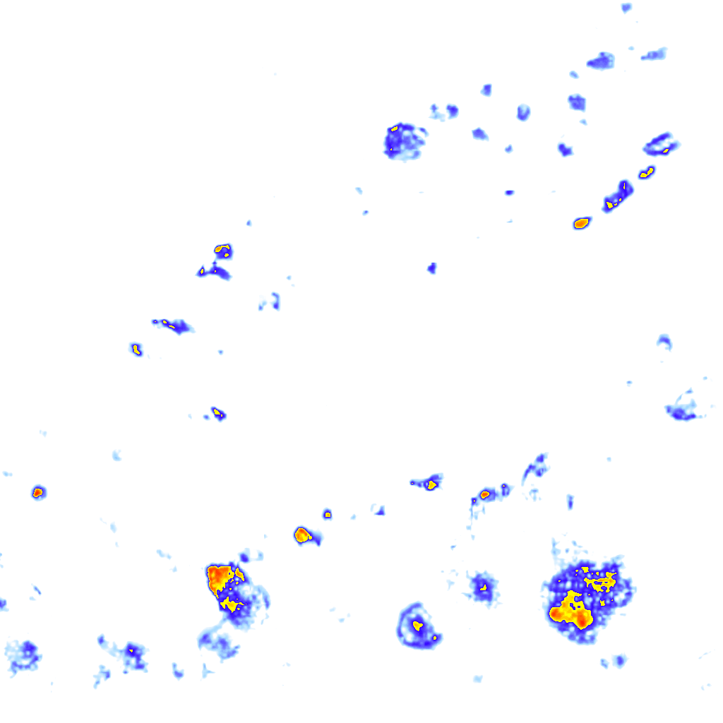 Image Layer