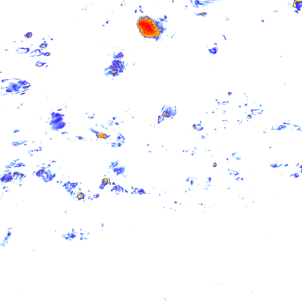 rainLayer