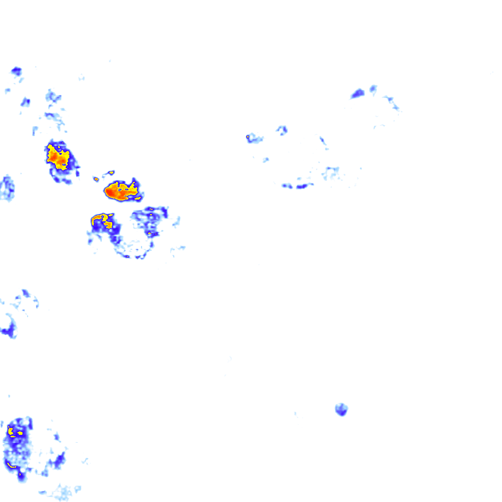 rainLayer