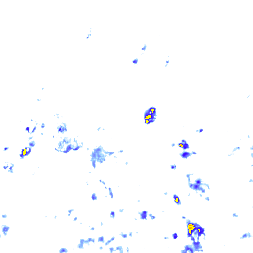 Image Layer