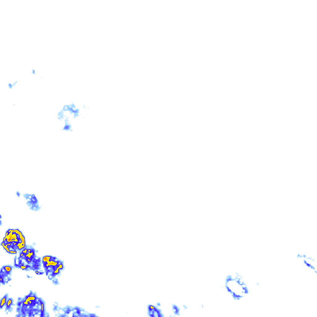 rainLayer