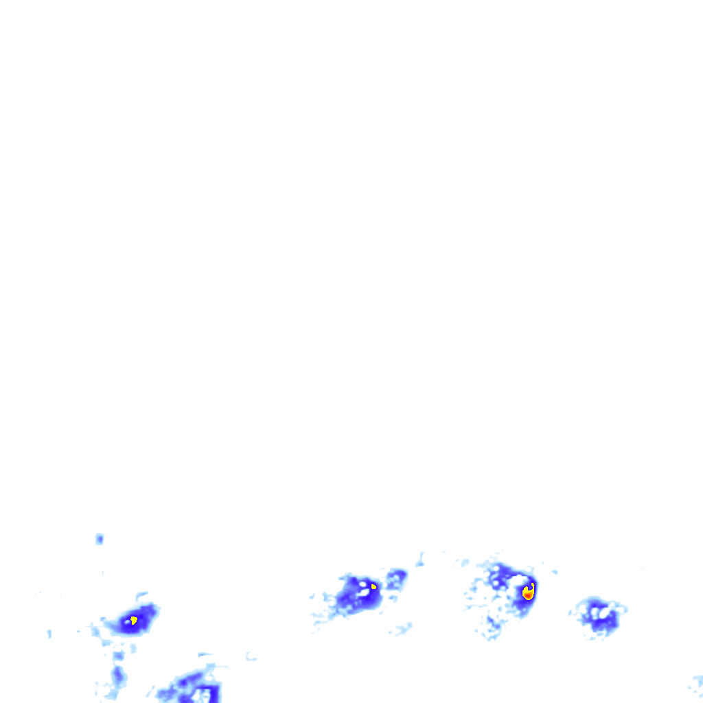 rainLayer