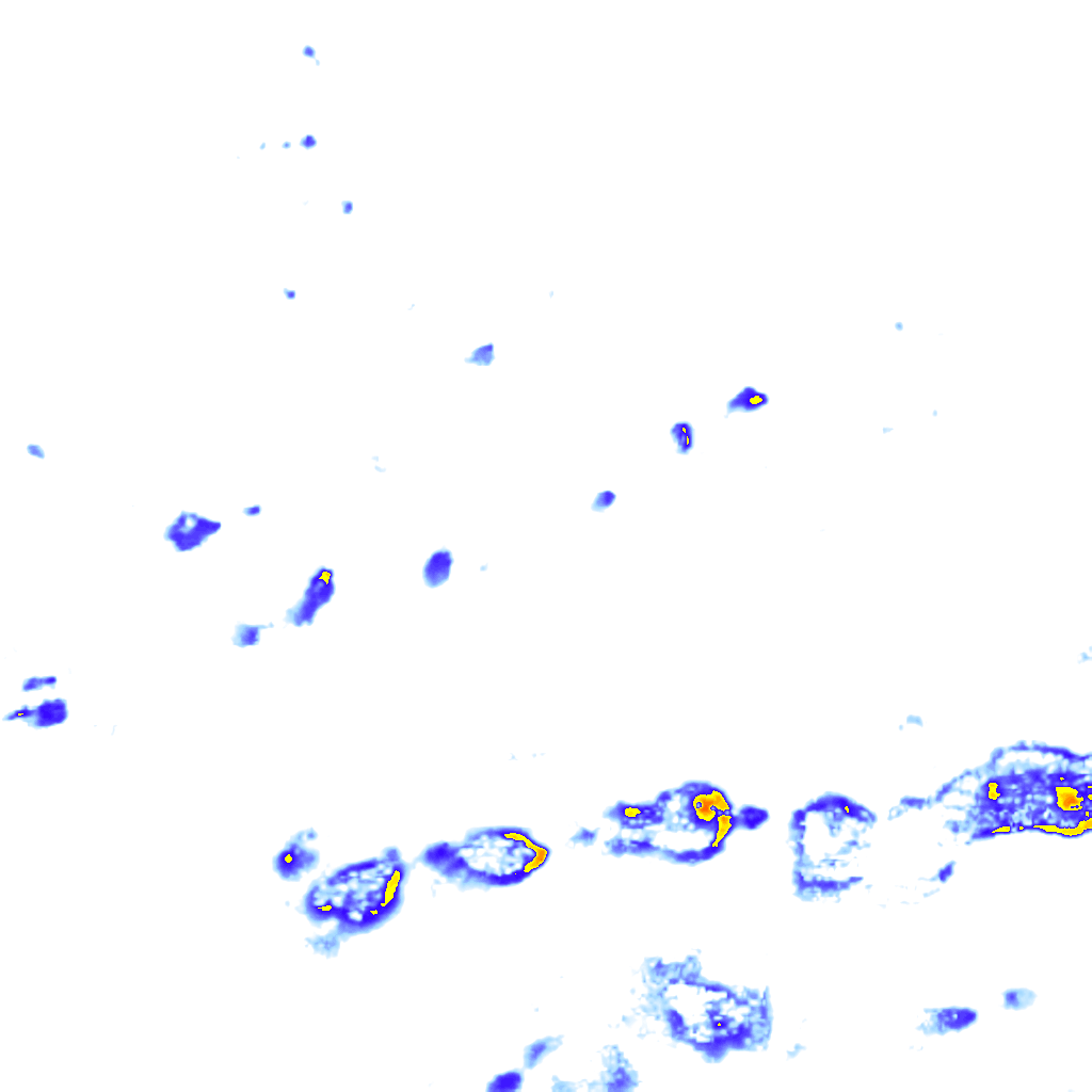 Image Layer