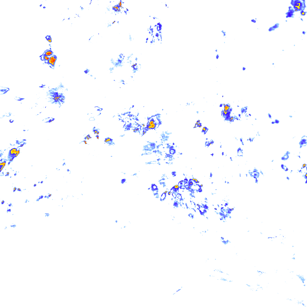rainLayer