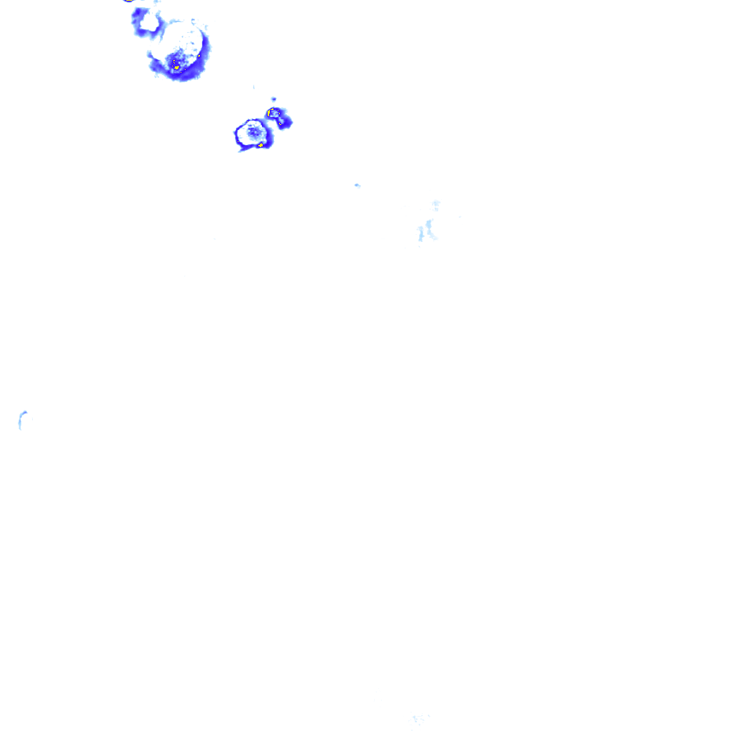 rainLayer