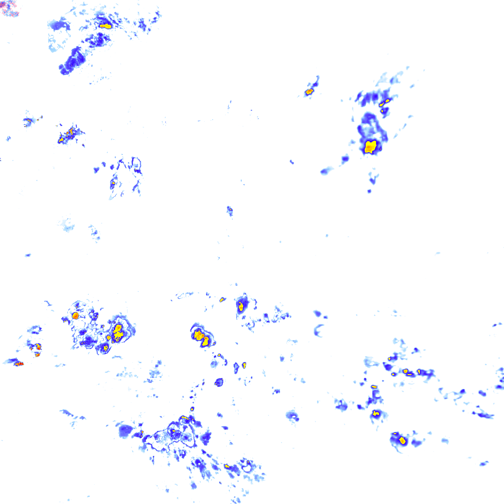 rainLayer