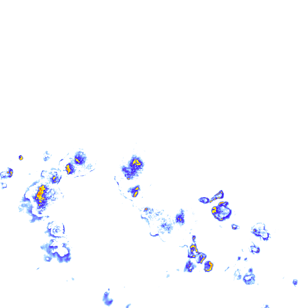 rainLayer