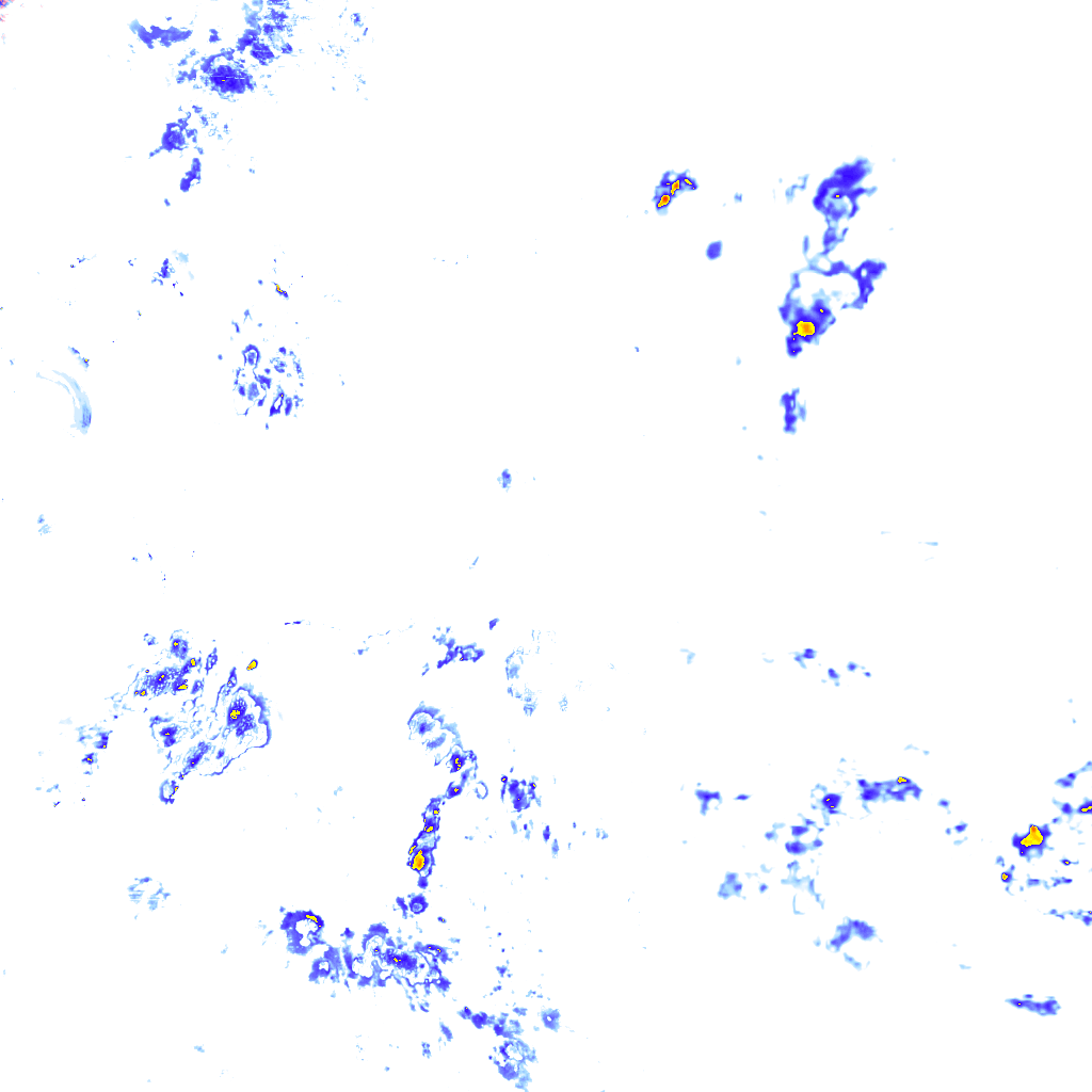 rainLayer
