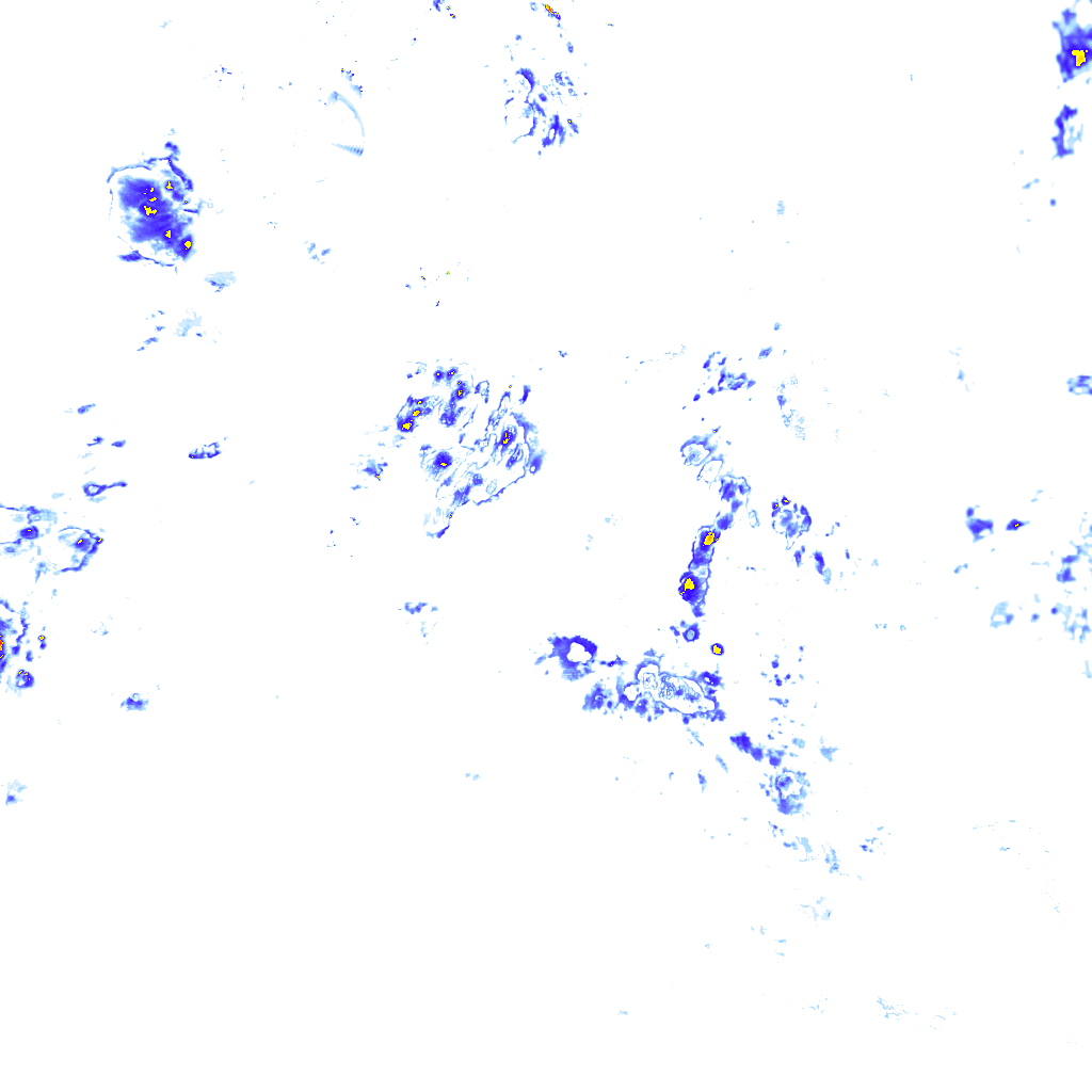 rainLayer