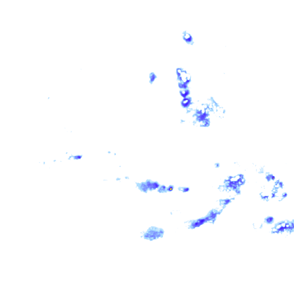 rainLayer