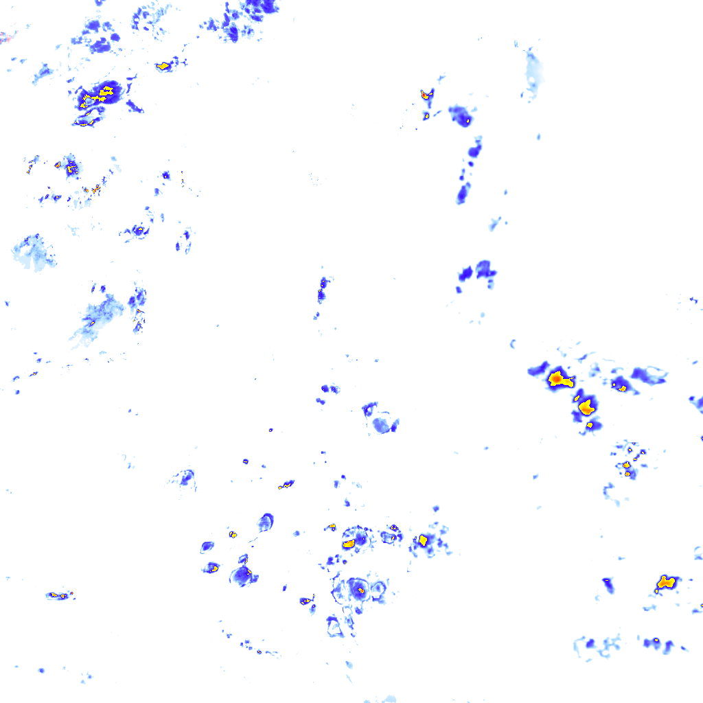 rainLayer