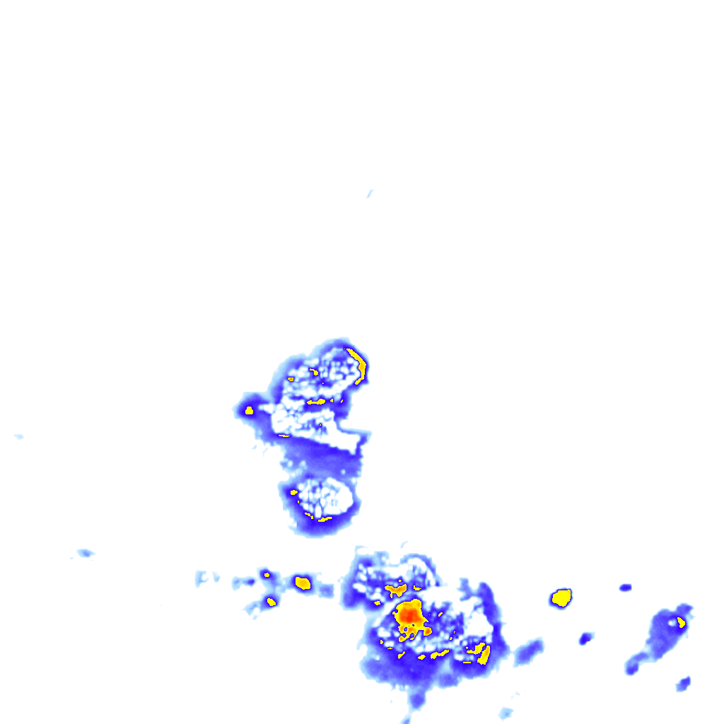 rainLayer