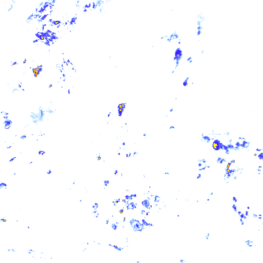 Image Layer