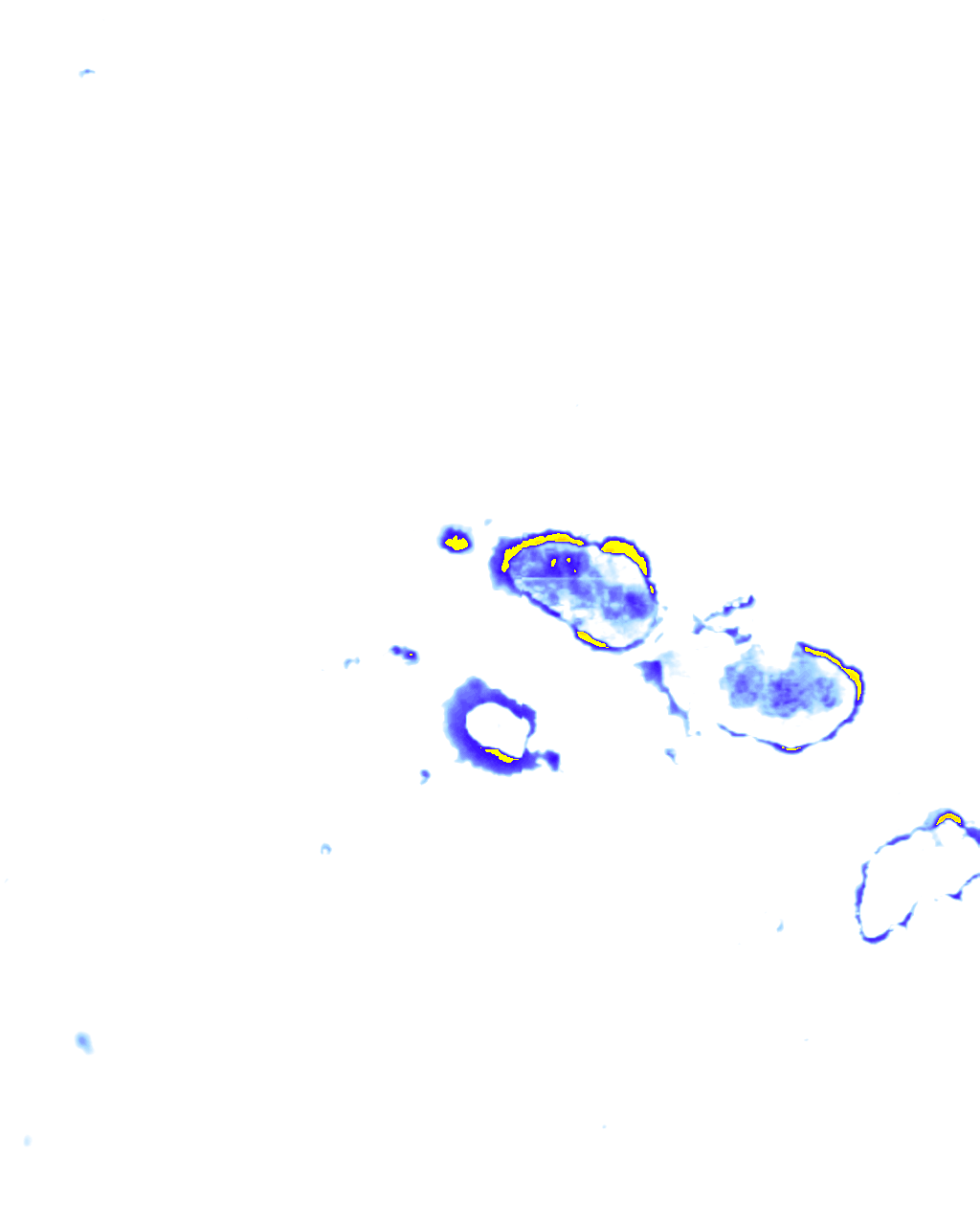 rainLayer