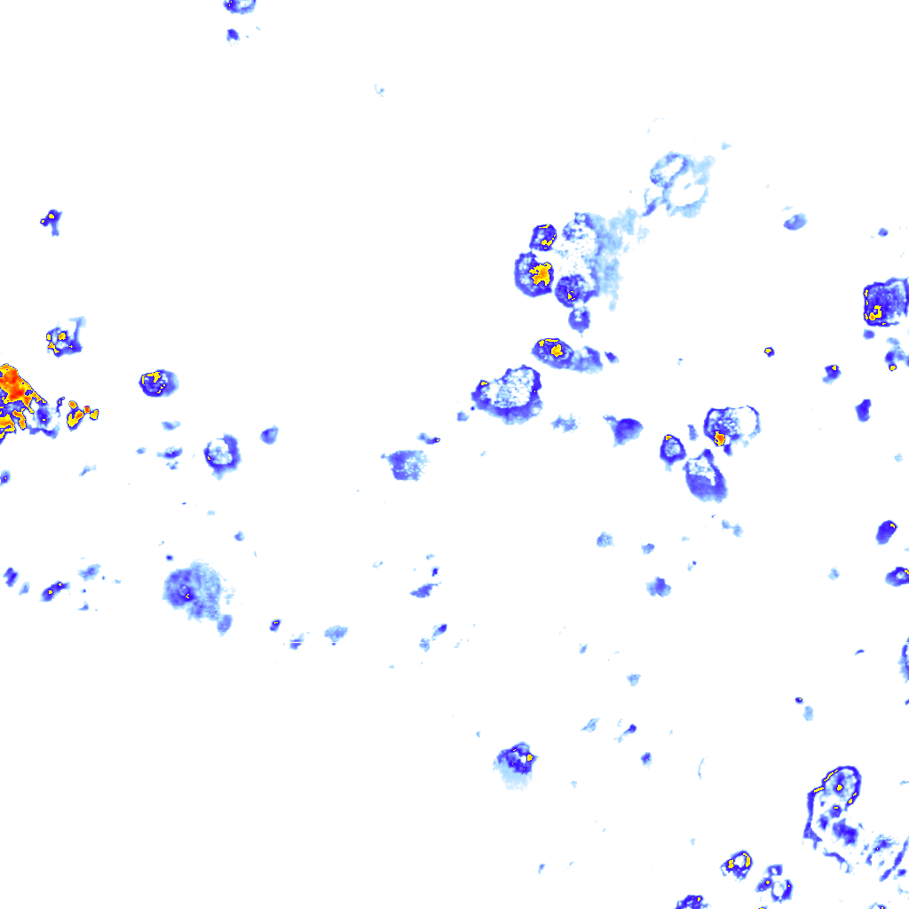 Image Layer