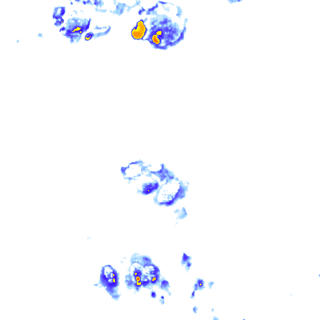 Image Layer