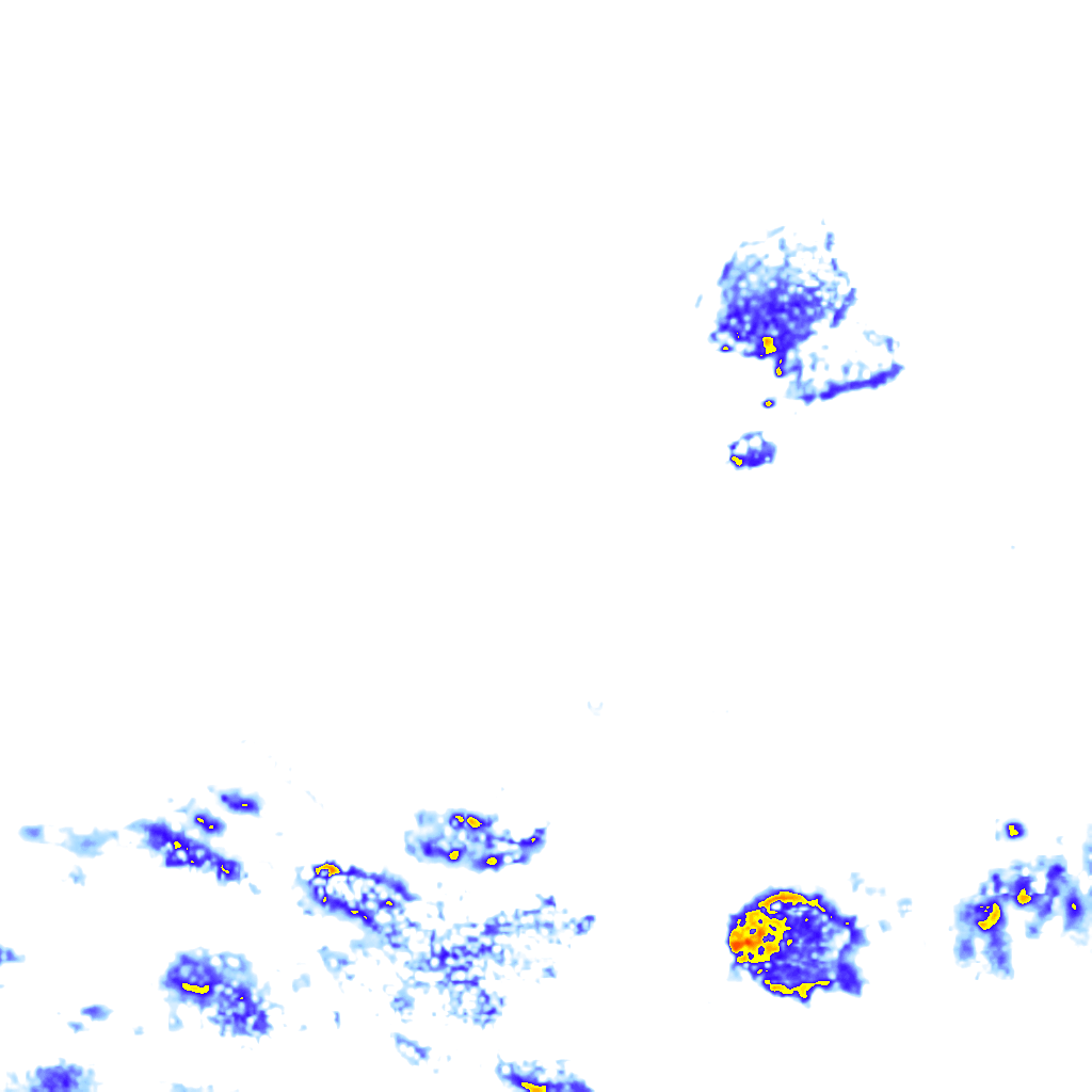 Image Layer