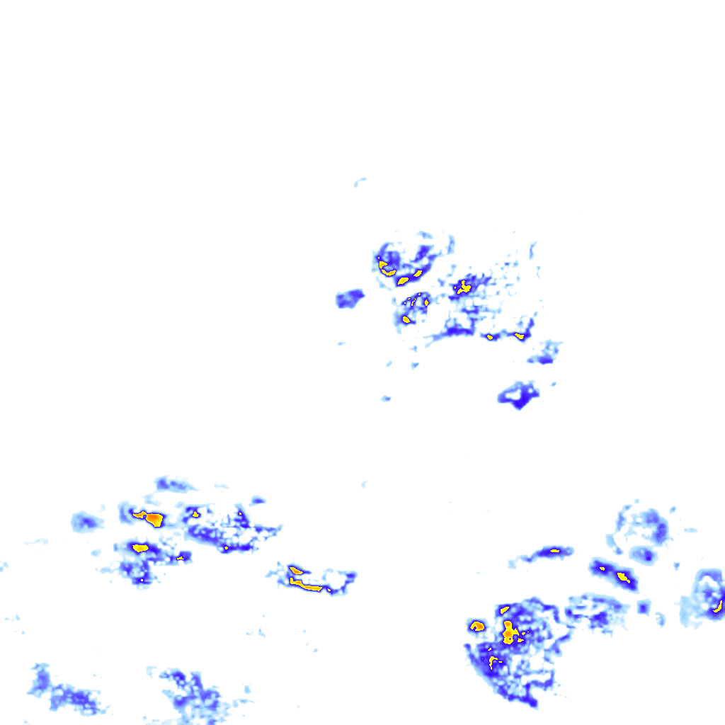 rainLayer