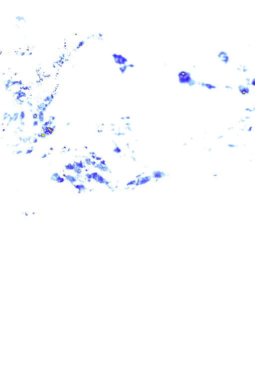 rainLayer