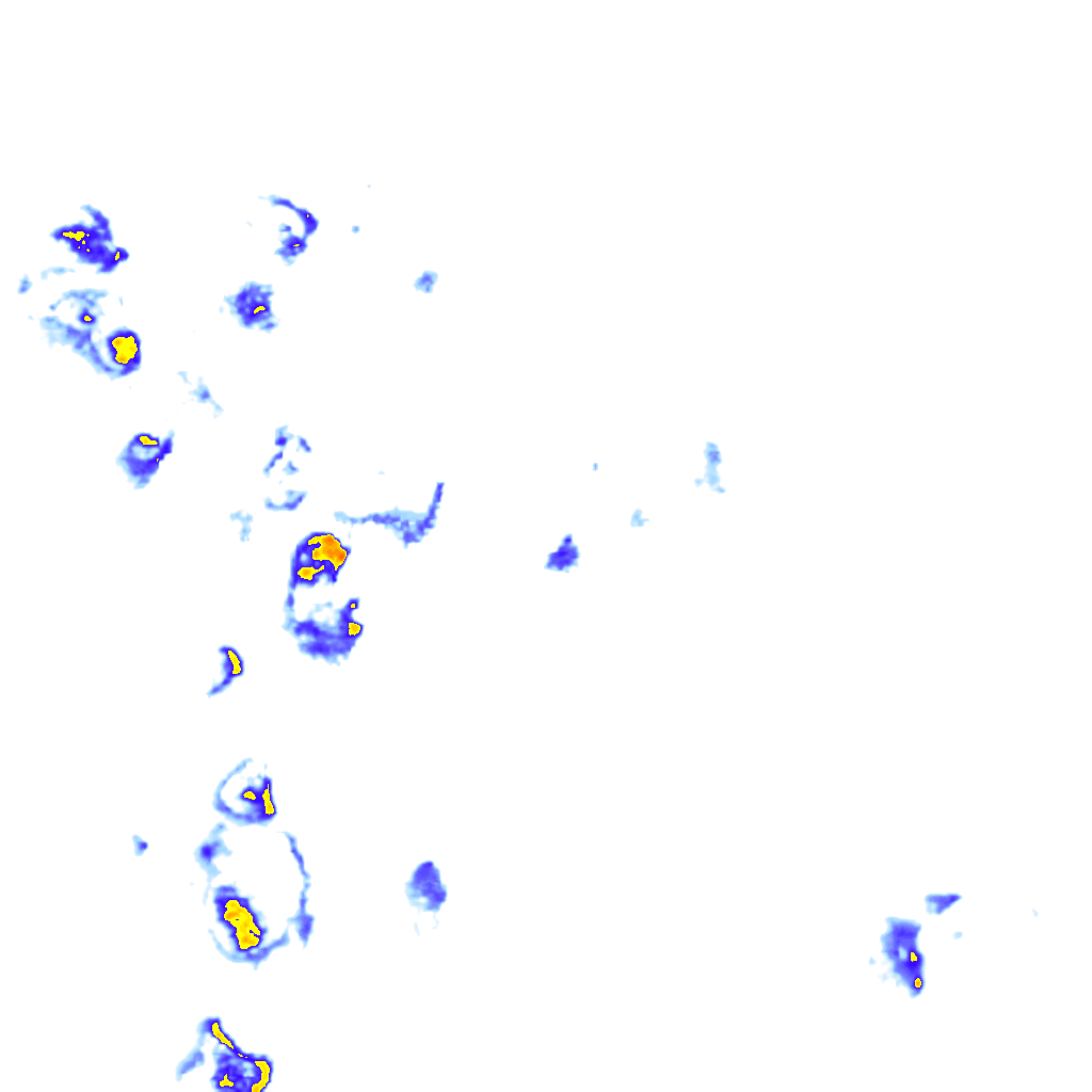rainLayer