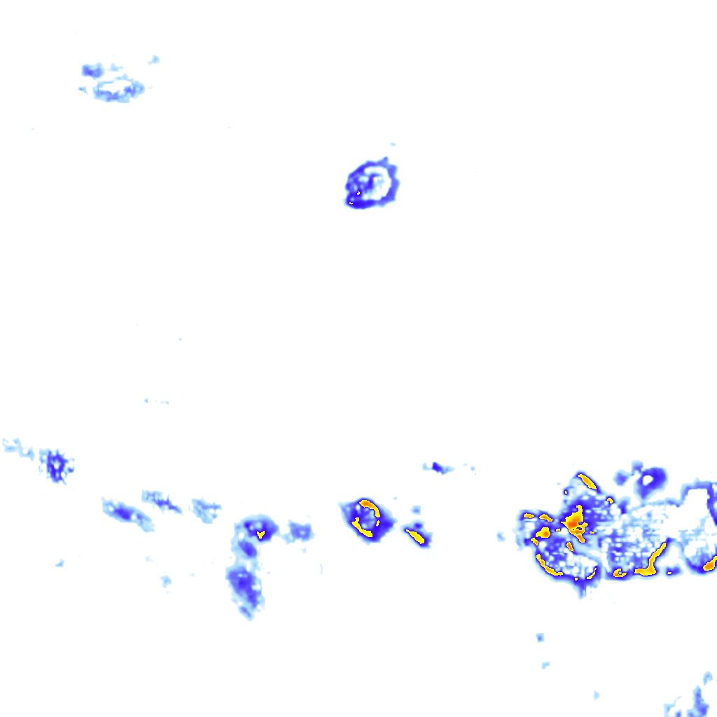 Image Layer