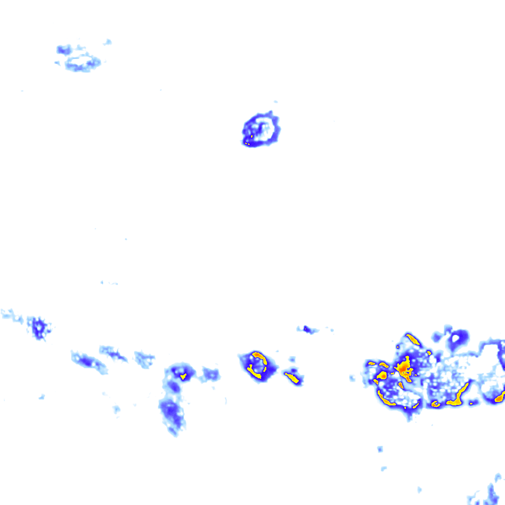 rainLayer