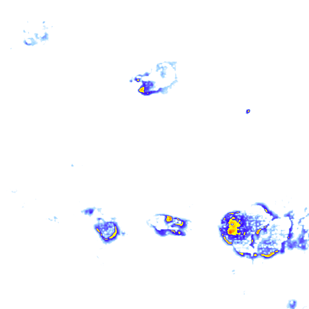 rainLayer