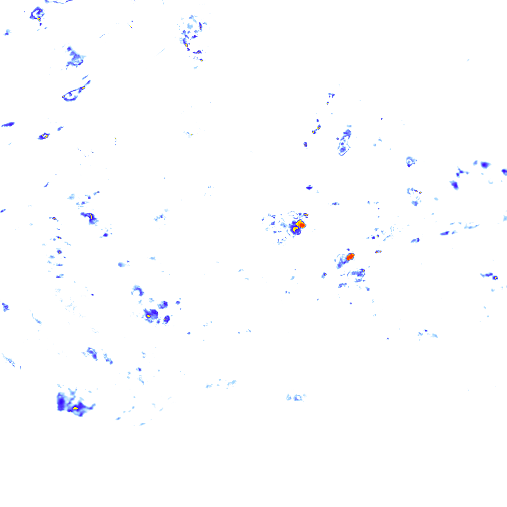rainLayer