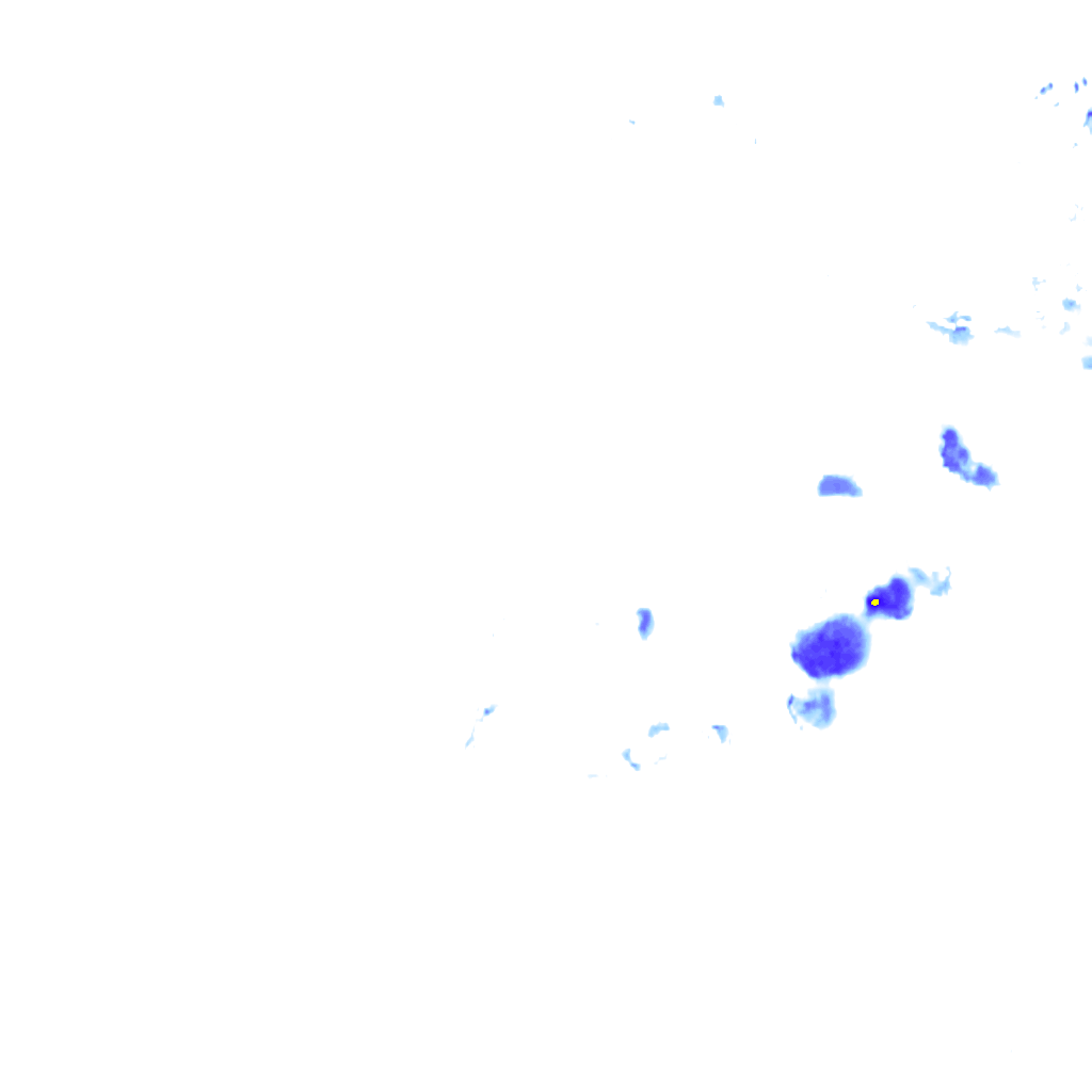 rainLayer