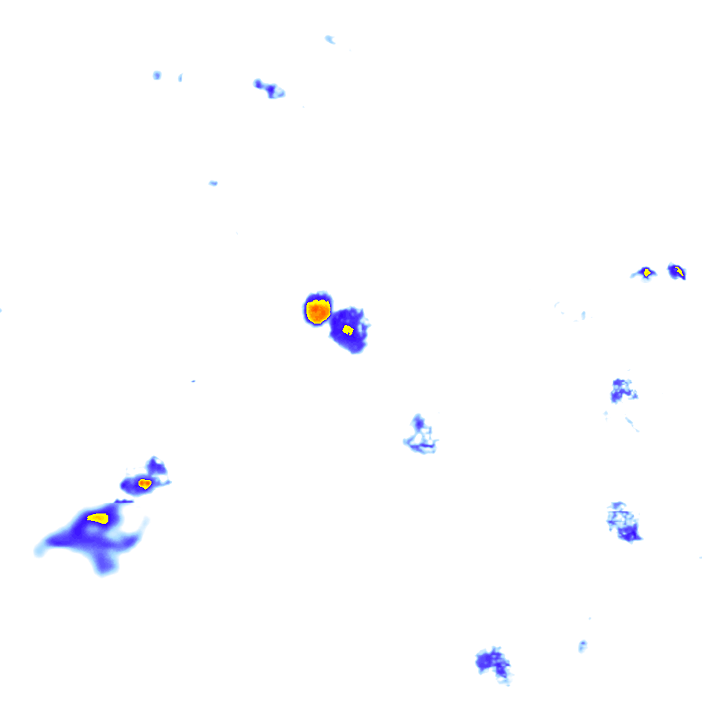 Image Layer