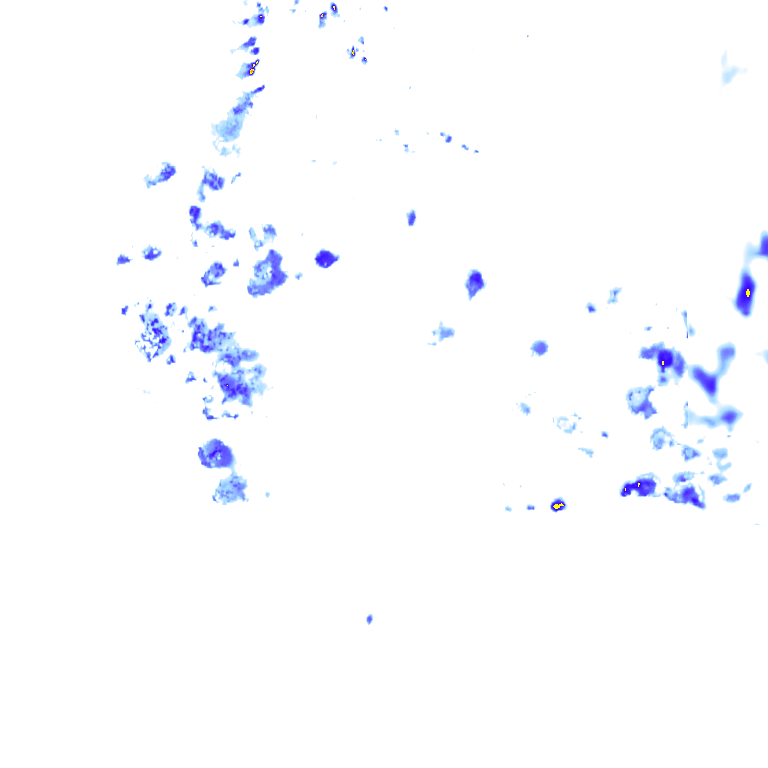 rainLayer
