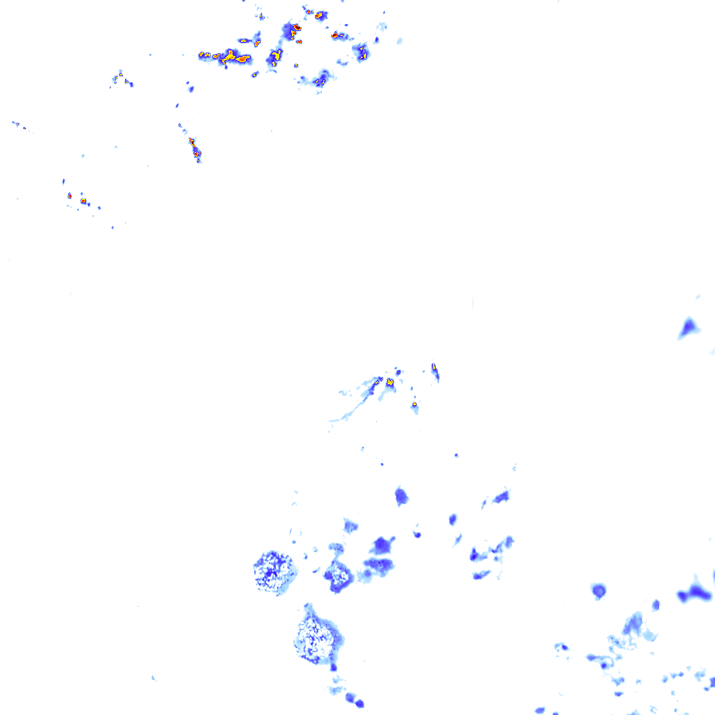 rainLayer