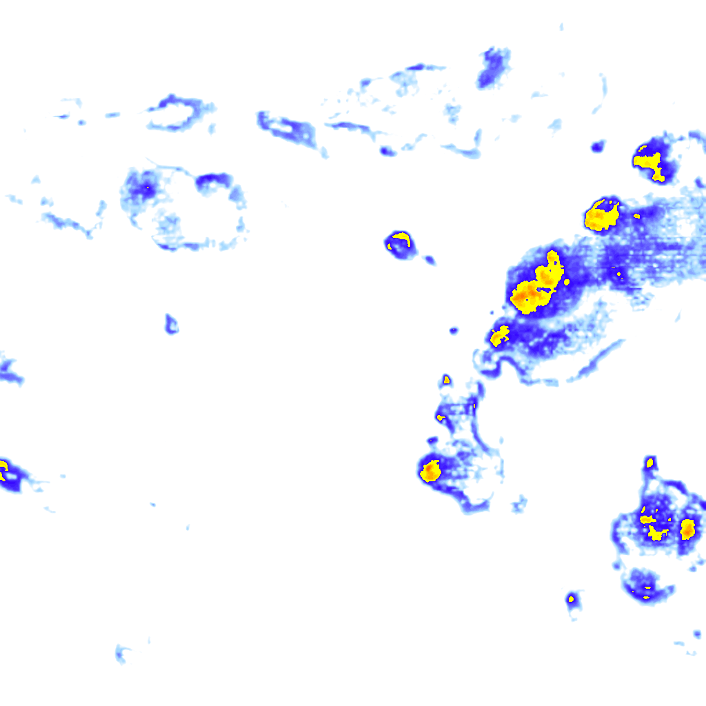 rainLayer