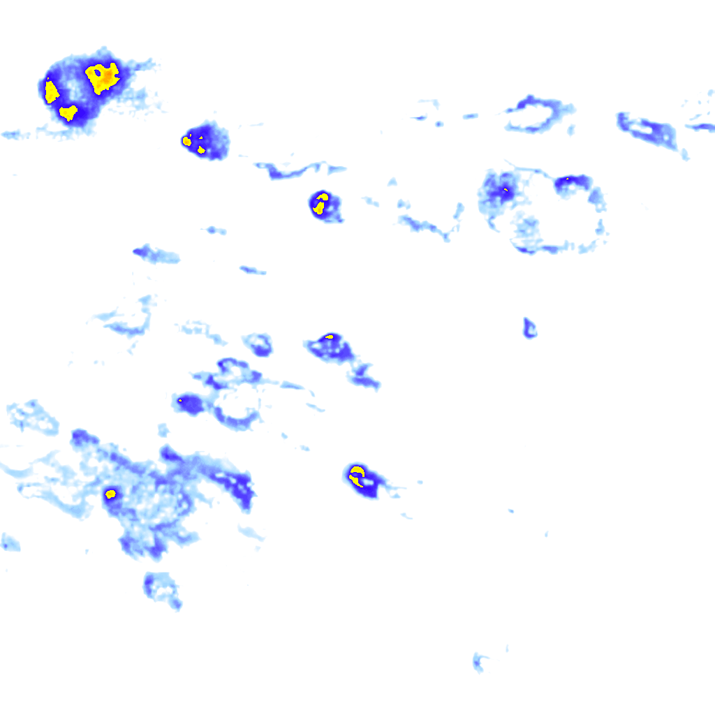 Image Layer