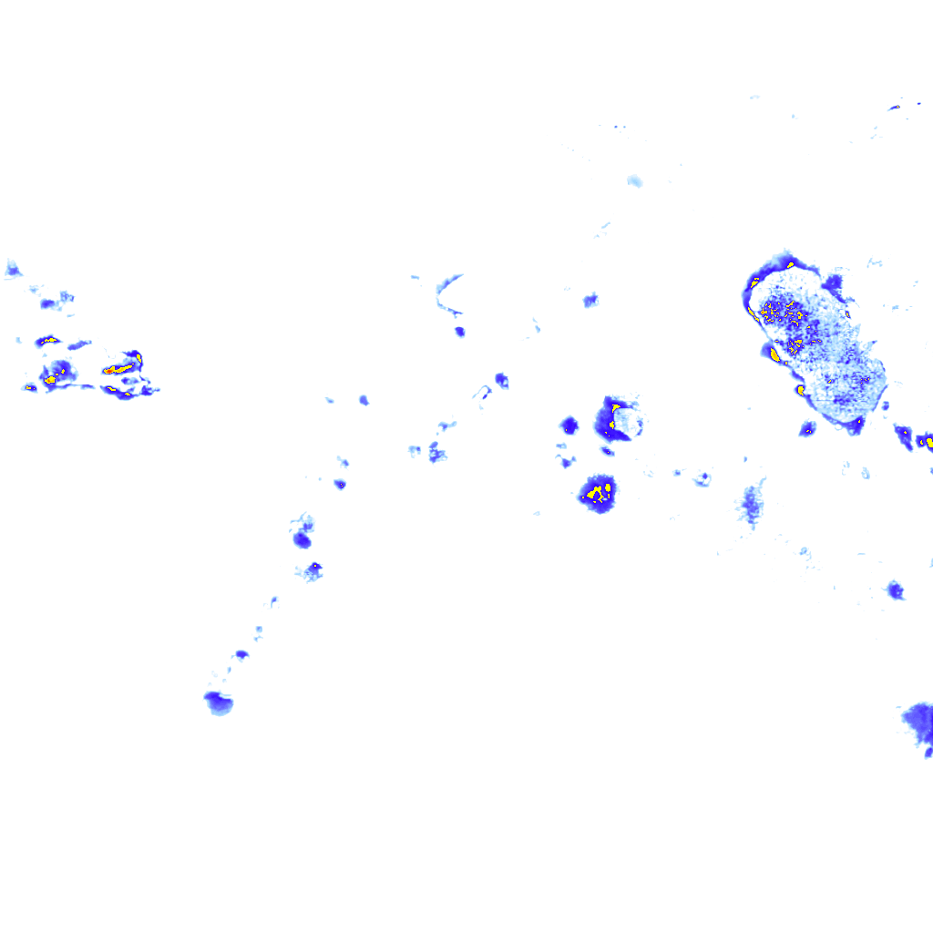 rainLayer