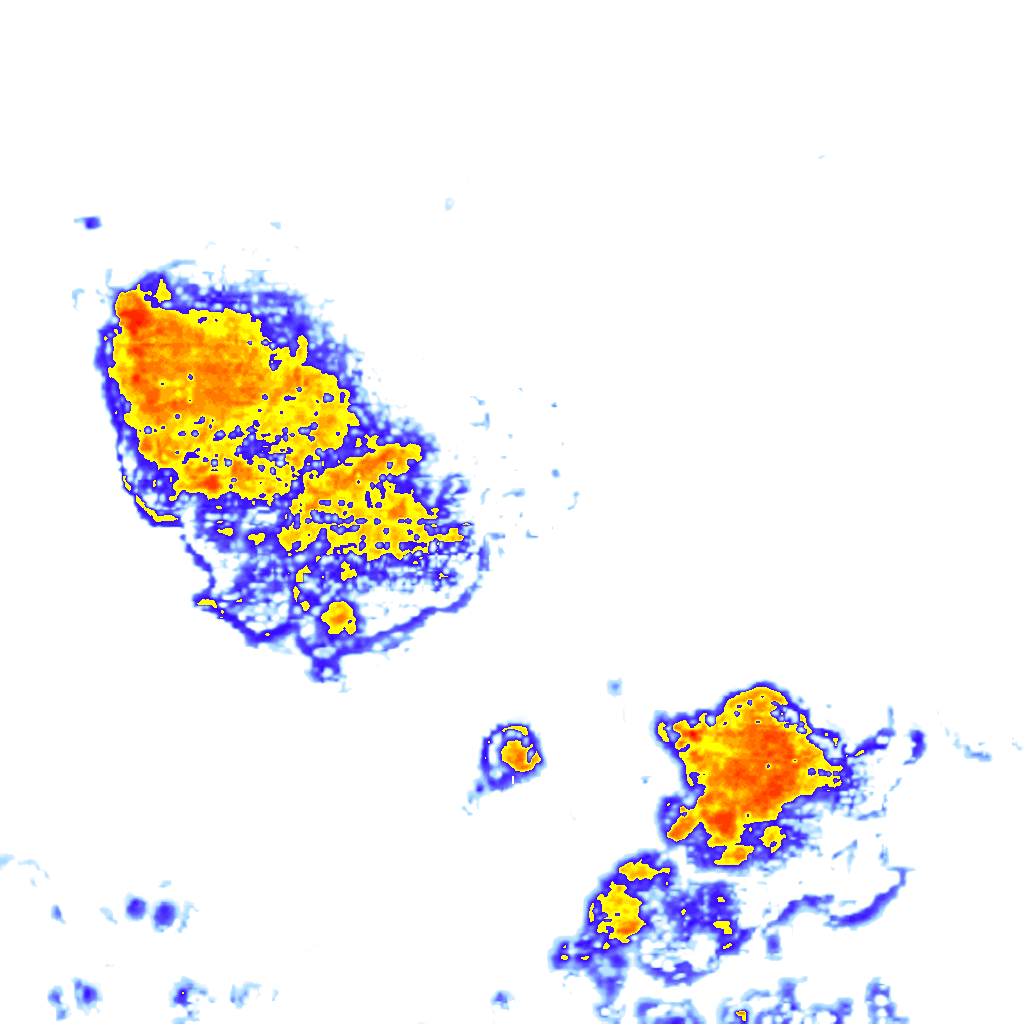 rainLayer