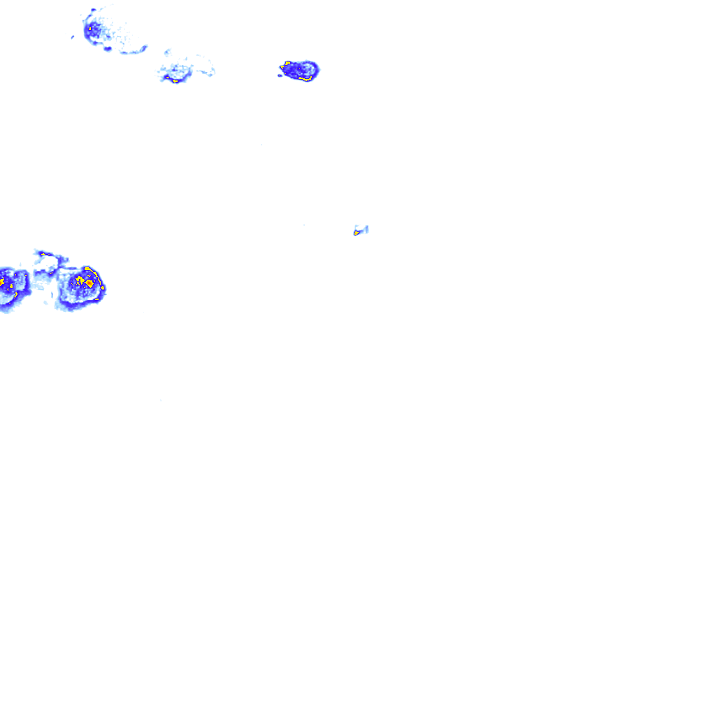 Image Layer