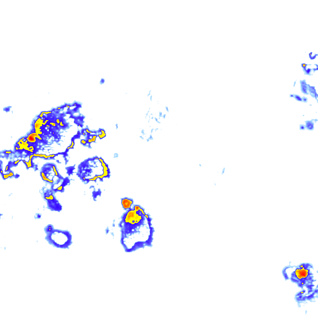 Image Layer