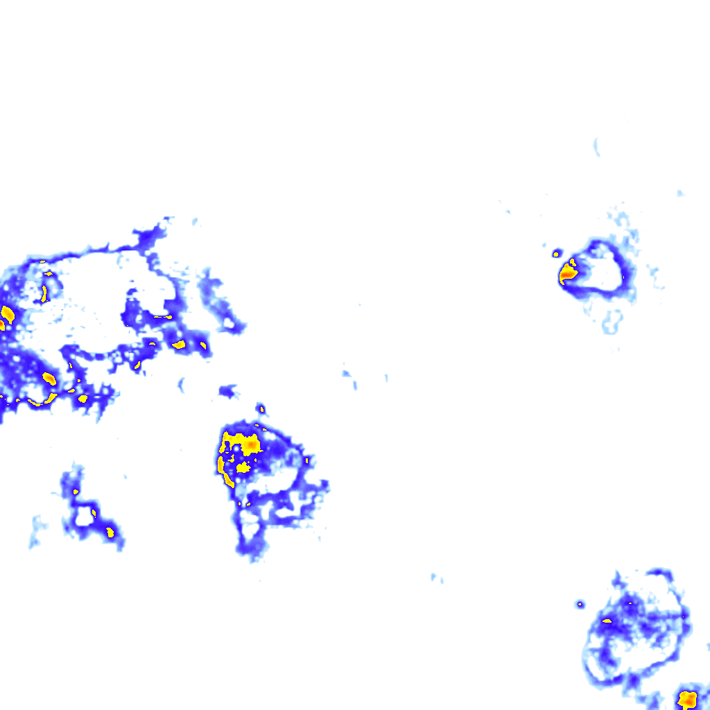 Image Layer