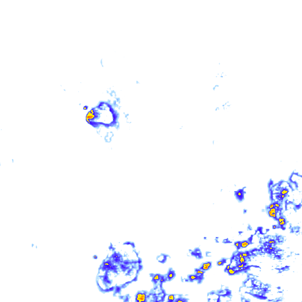 rainLayer