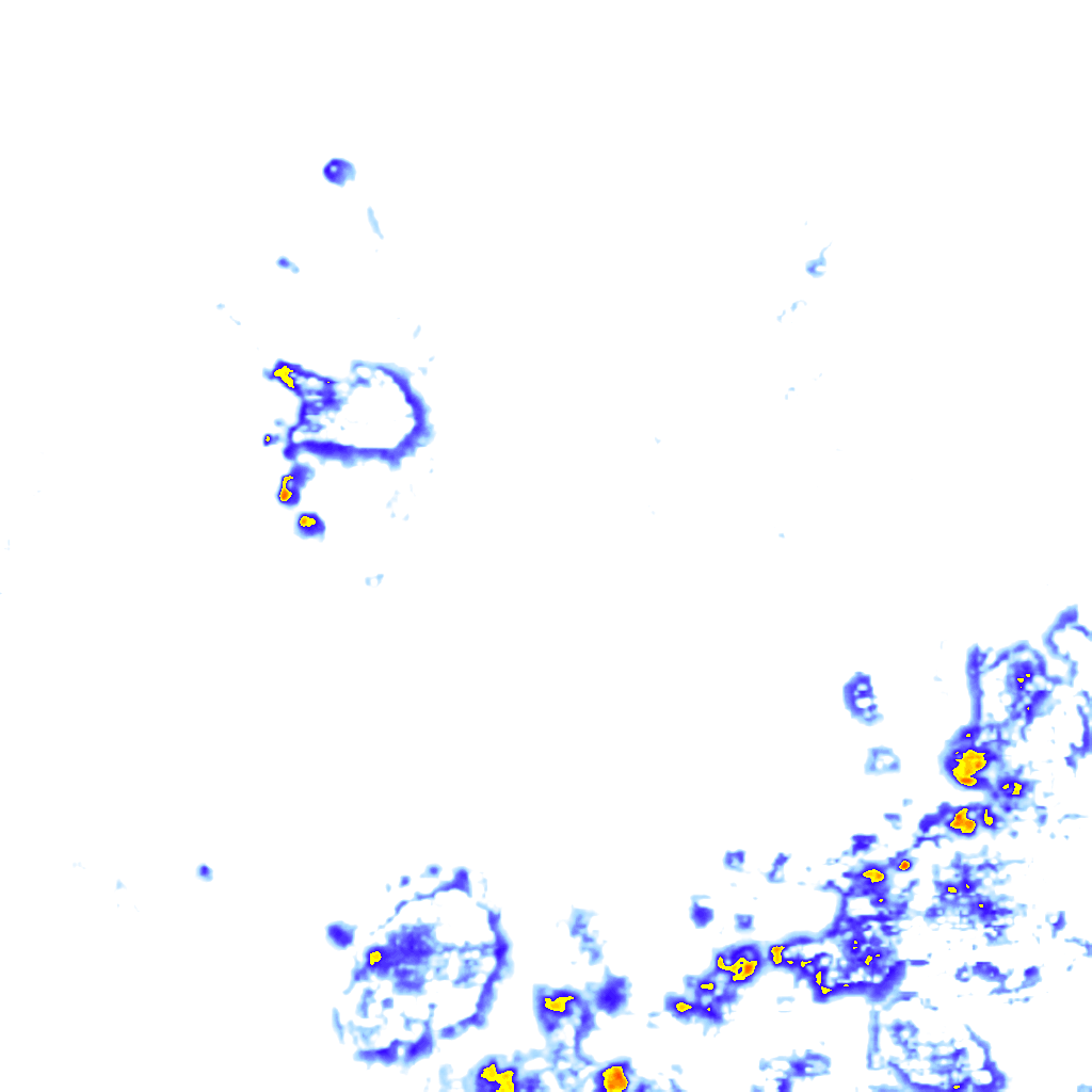rainLayer