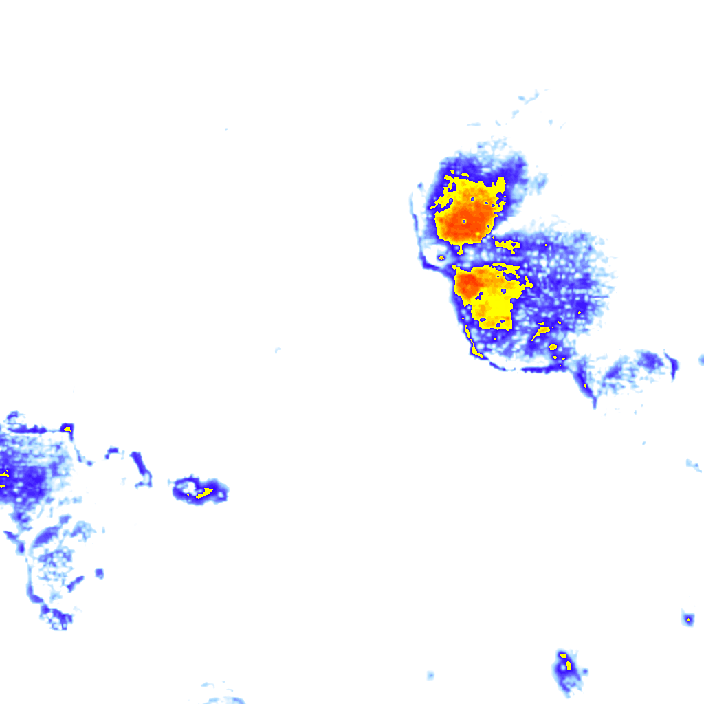 Image Layer