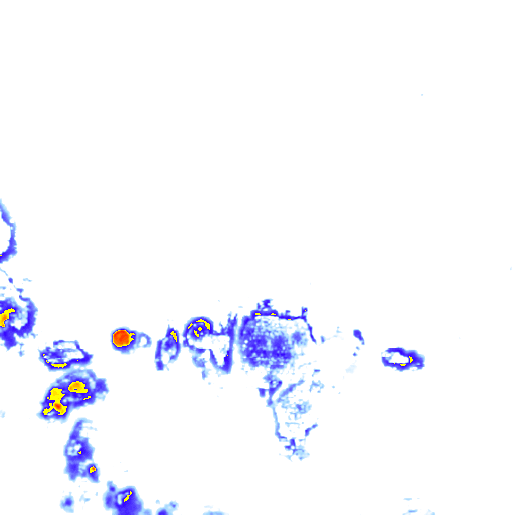 Image Layer