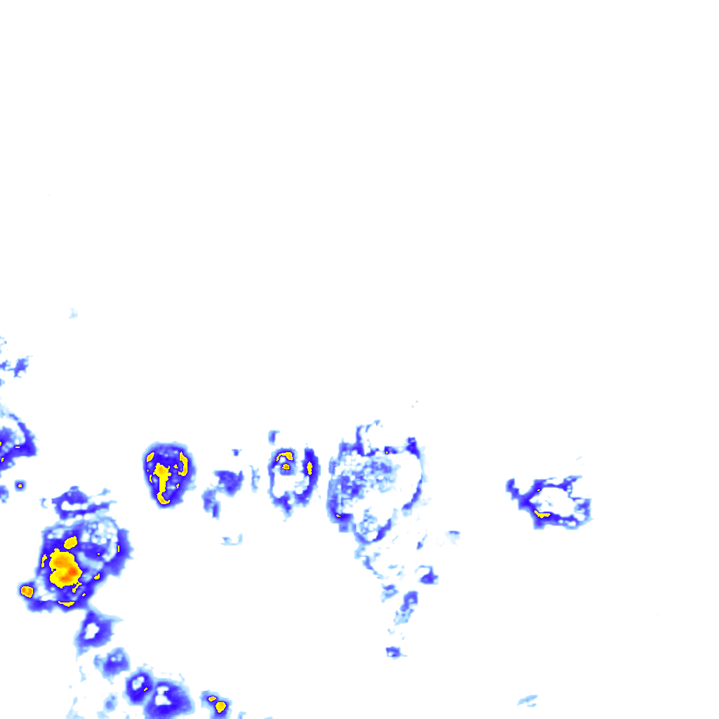 rainLayer