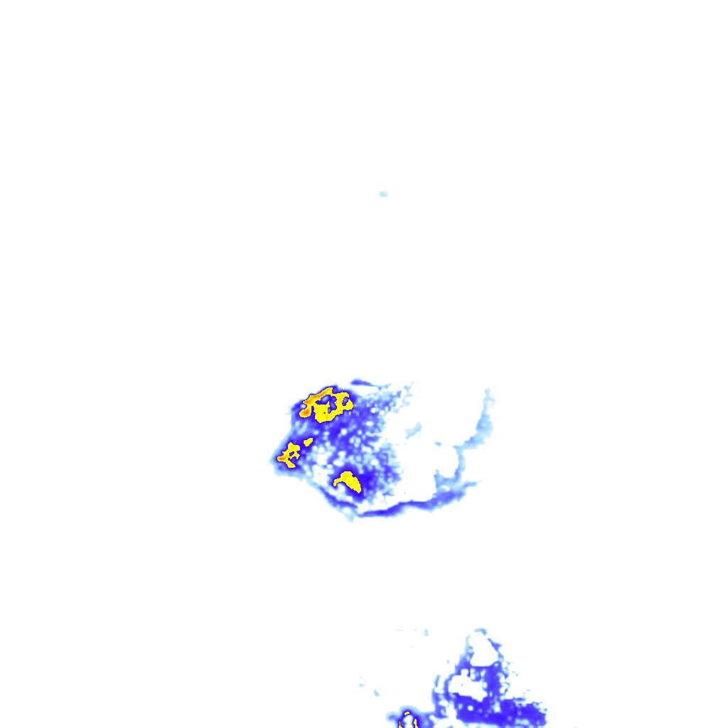 rainLayer