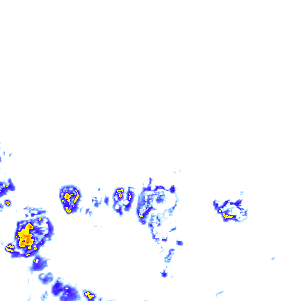 rainLayer