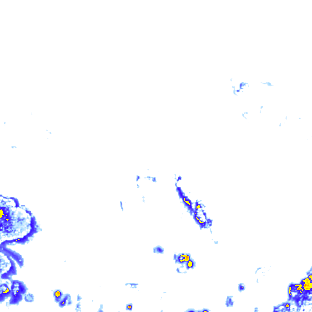 rainLayer
