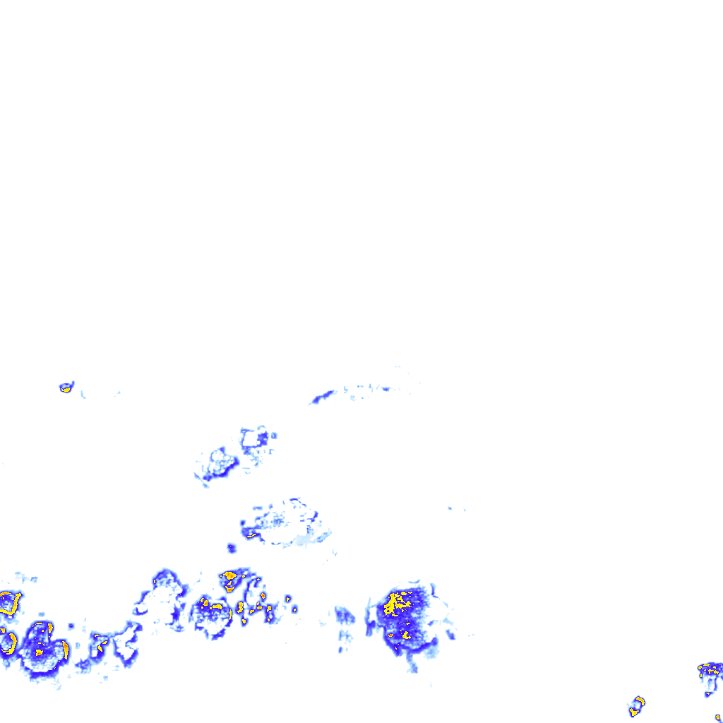 rainLayer
