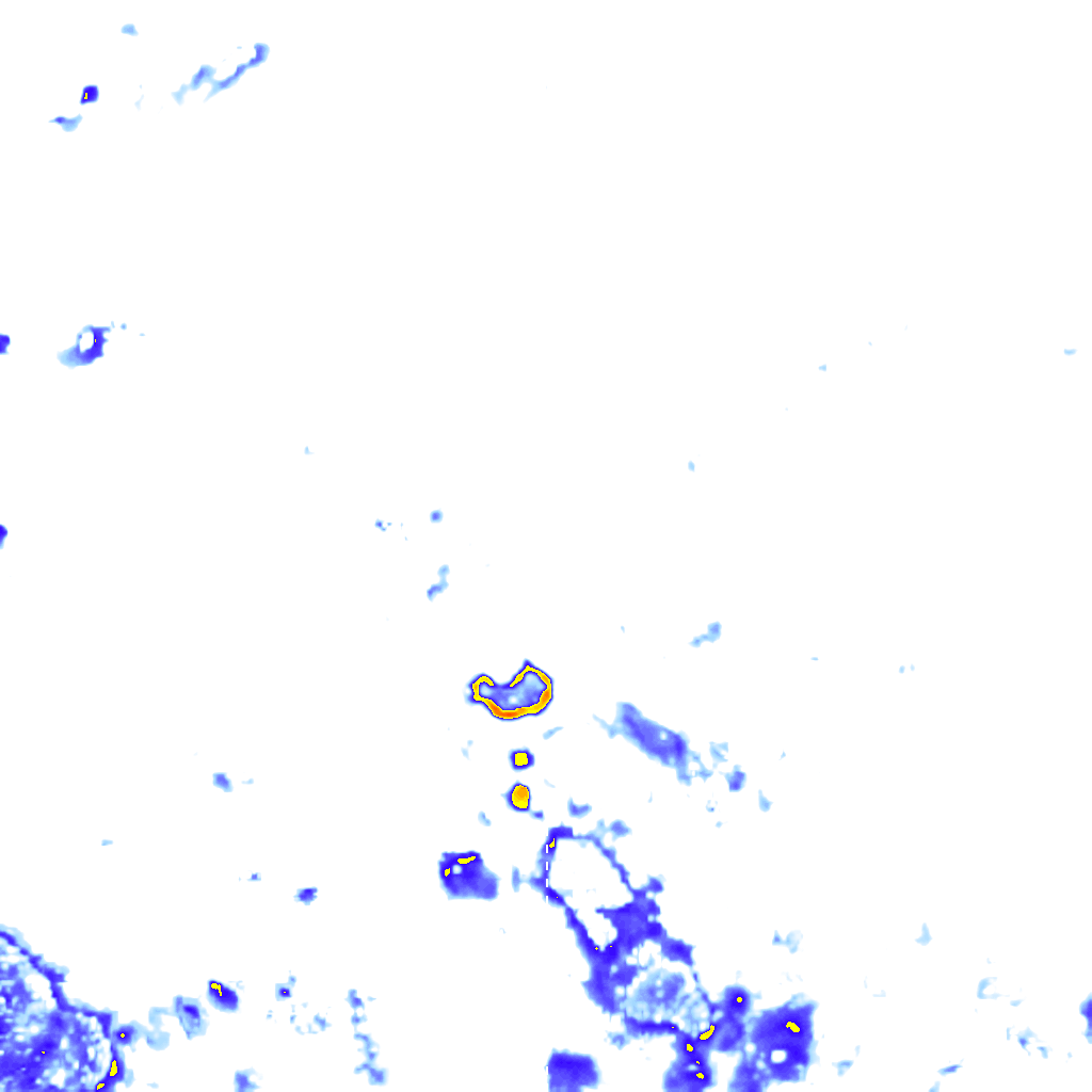 rainLayer
