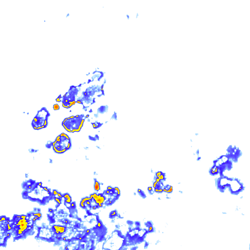 rainLayer